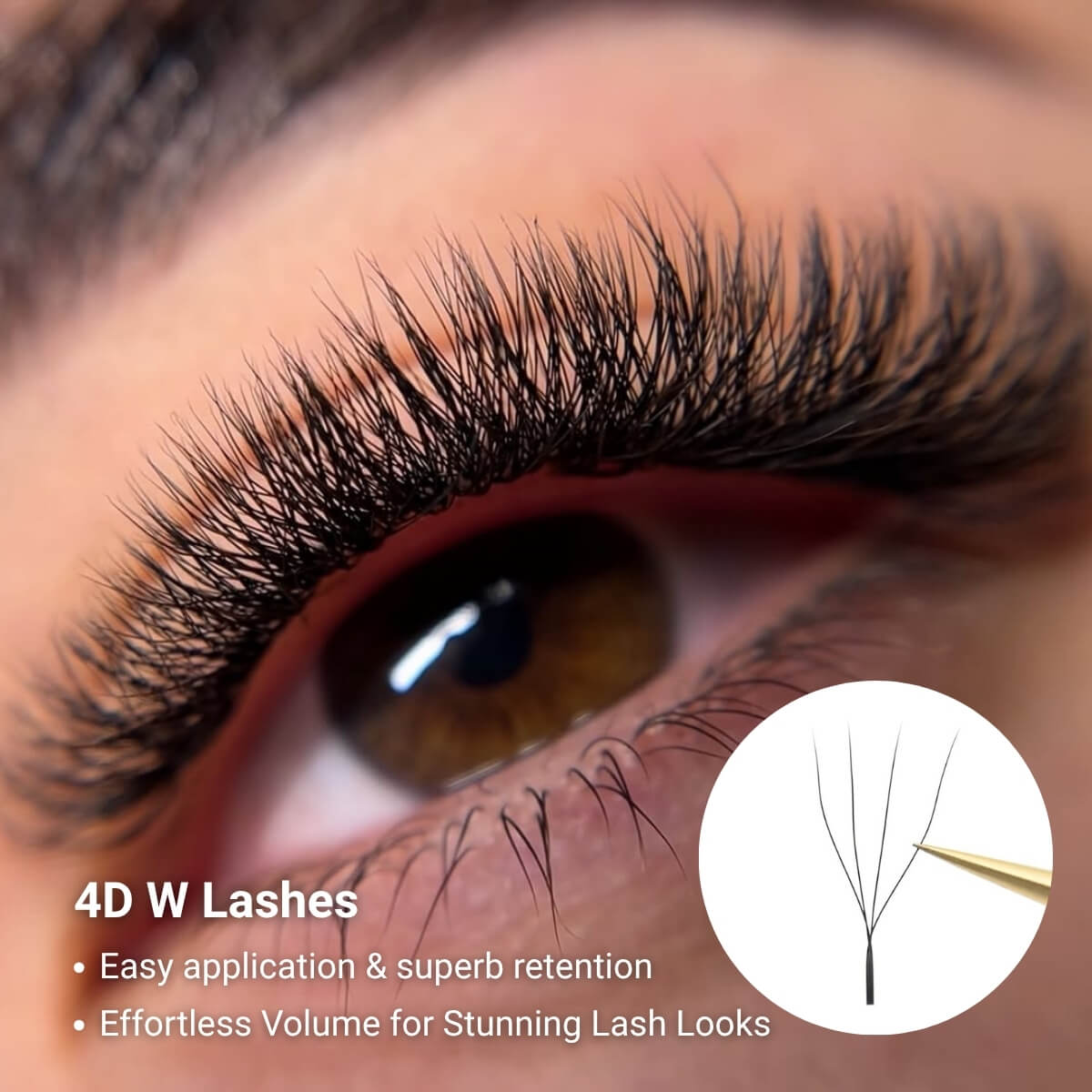 W Shape 4D Premade Volume Fan Lashes - imagine 2